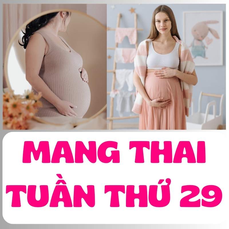 Thay đổi trong cơ thể mẹ bầu tuần thứ 29